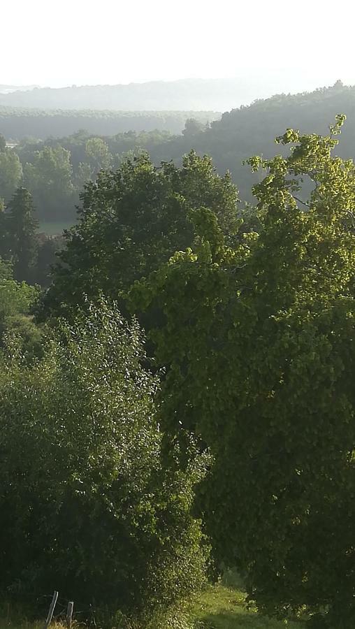 Gites Du Chene Vert Montignac-Lascaux Εξωτερικό φωτογραφία