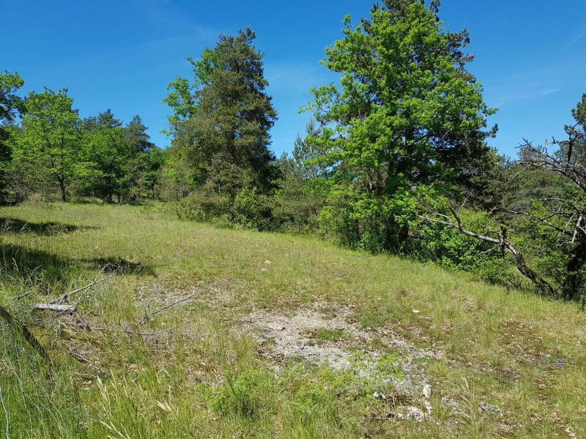 Gites Du Chene Vert Montignac-Lascaux Εξωτερικό φωτογραφία